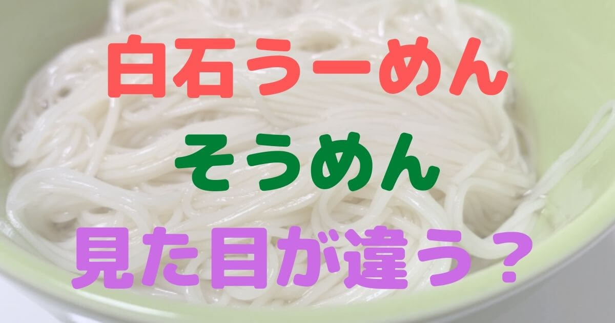 白石興産 白石温麺  干しめん  300g 2点セット